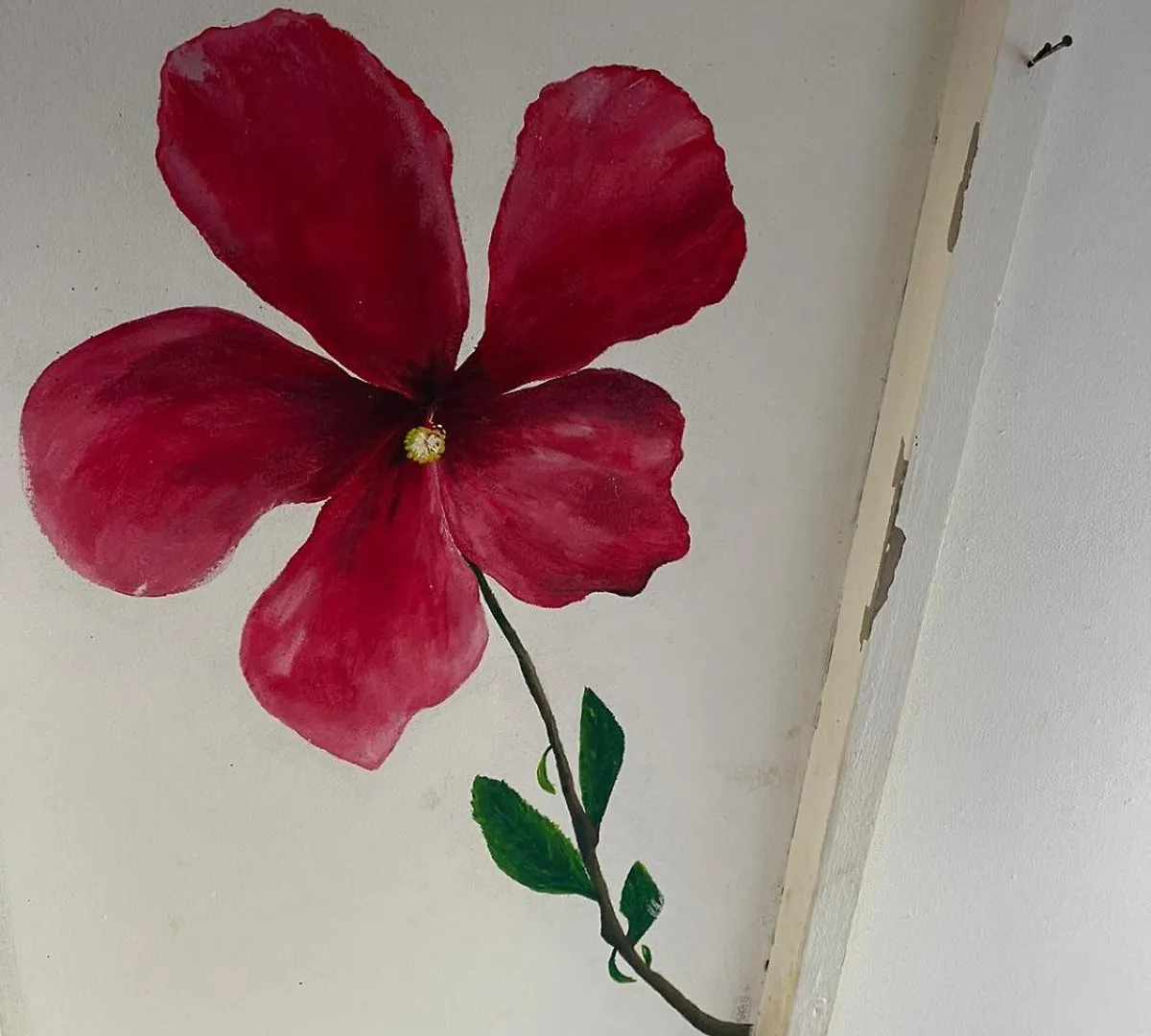 Alaroots Fakarava Hostel