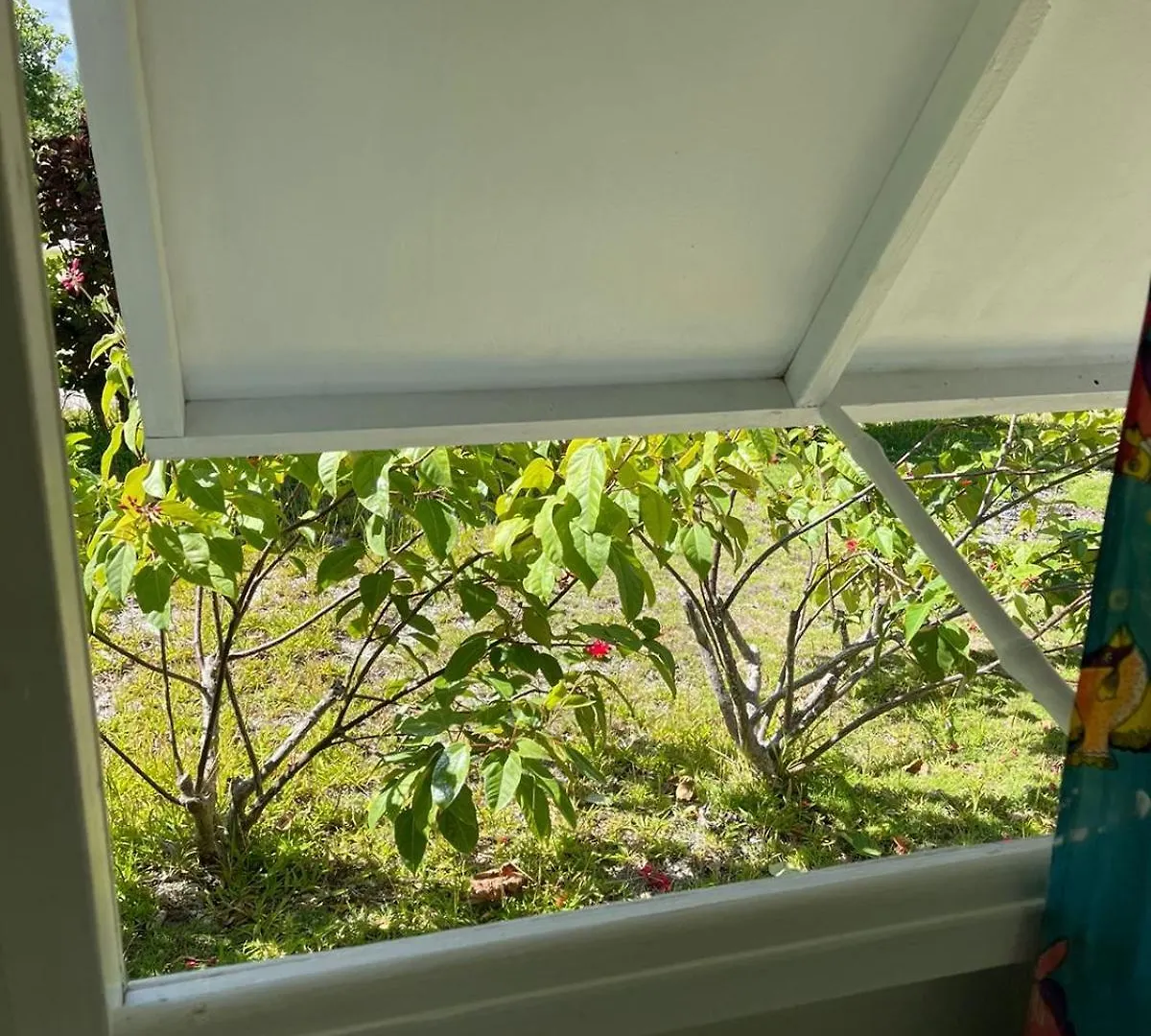 Alaroots Fakarava Hostel